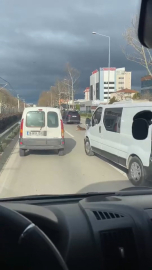 Köpeğin keyfi trafiğe kilitledi