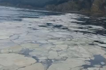 Gemlik Körfezi’nde müsilaj kabusu! Balıkçılar denize açılamadı