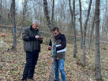 Bursa Ormanlarındaki ağaçlar tek tek kontrol edildi